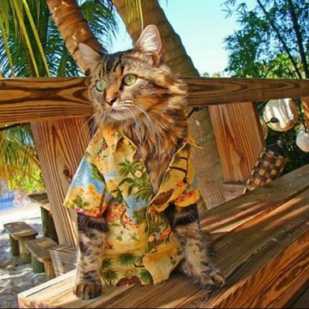 Summers Coming...